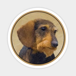 Dachshund (Wirehaired) Magnet